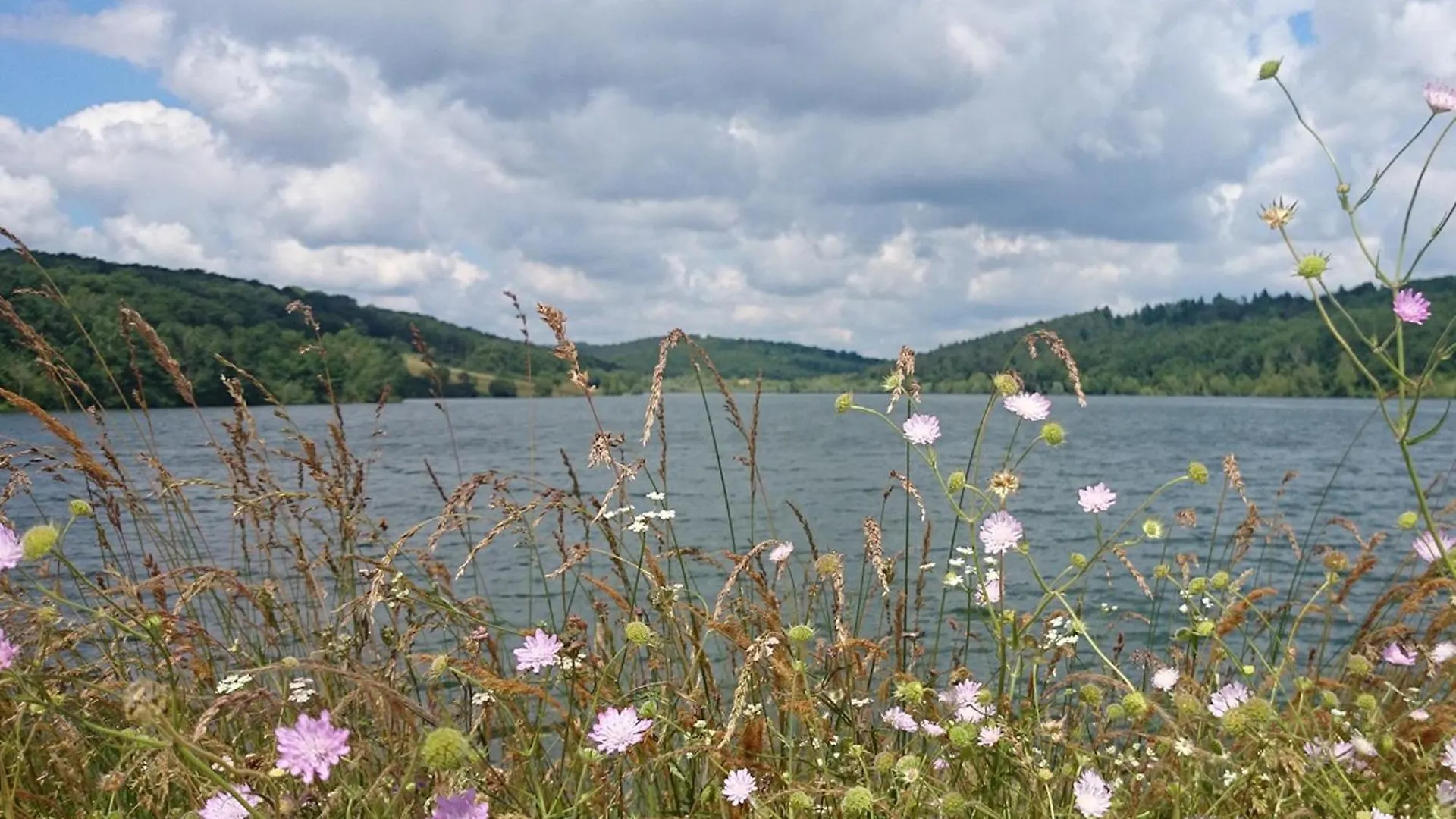 Gite De Campagne - Vue Jardin- Piscine Sajas 0*,